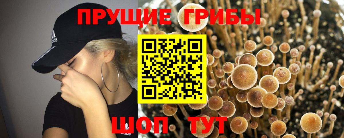 Псилоцибиновые грибы мухоморы Родники