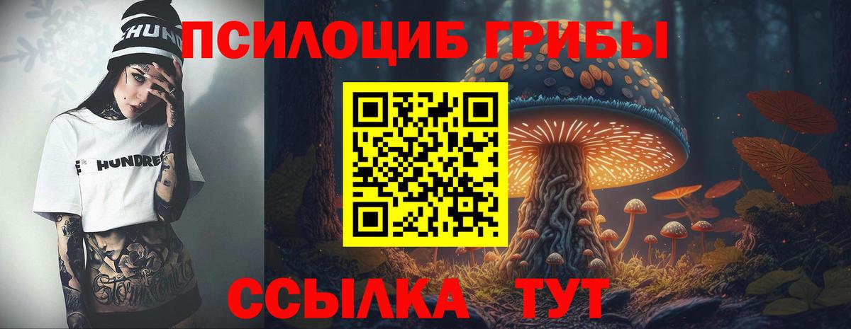 Псилоцибиновые грибы прущие грибы  Вход с VPN  Псилоцибиновые грибы Psilocybe  Родники 